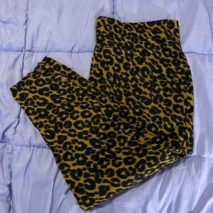 terra & sky 2X(20w-22w)